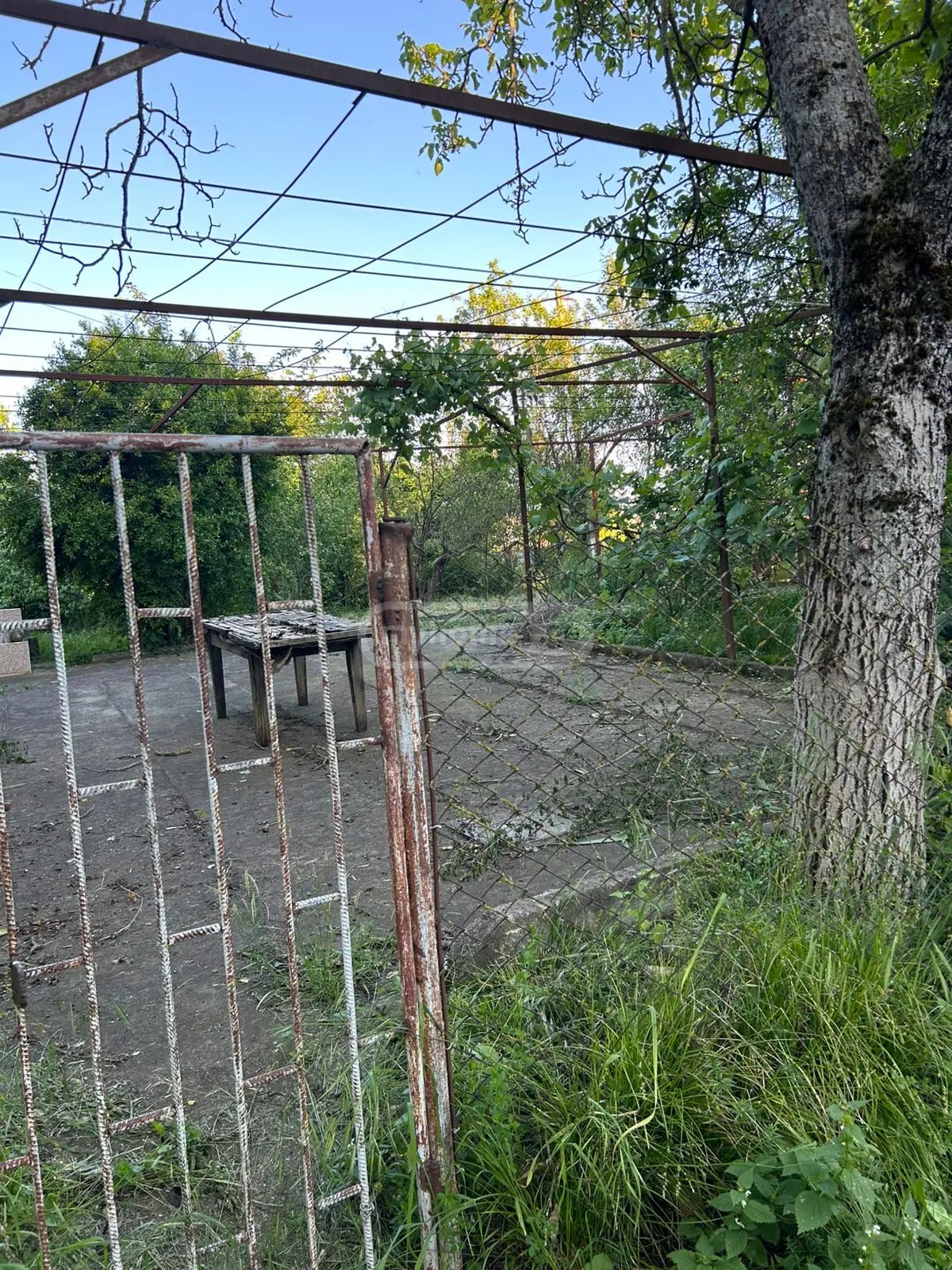 Продажа 6-комната Загородный дом в Gurjaanshi view 8