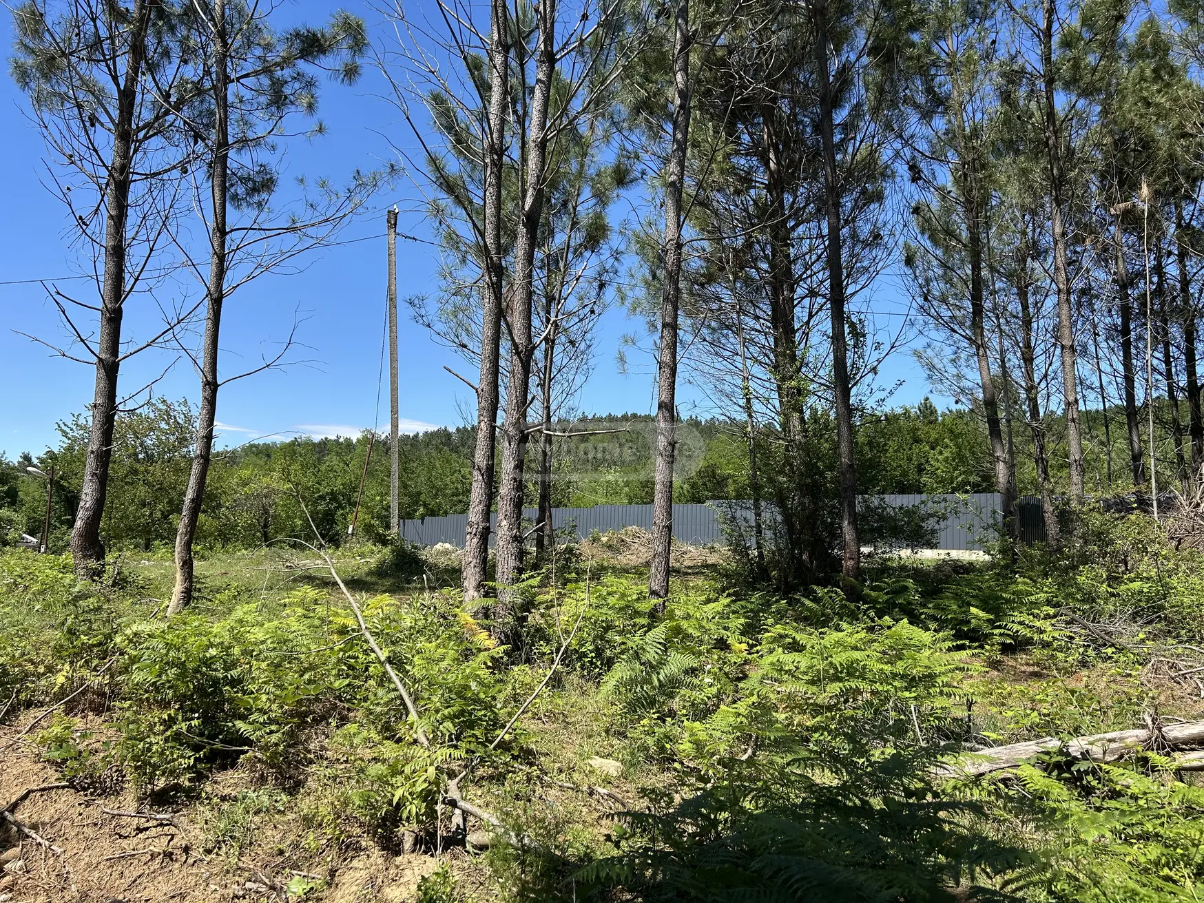 For Sale Sasoplo-Sameurneo Land Plot Tsqaltubos Munitsipalitetshi view 1