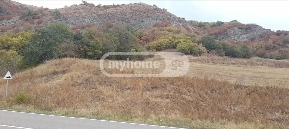 For Sale Sasoplo-Sameurneo Land Plot Tetritsqaroshi view 1