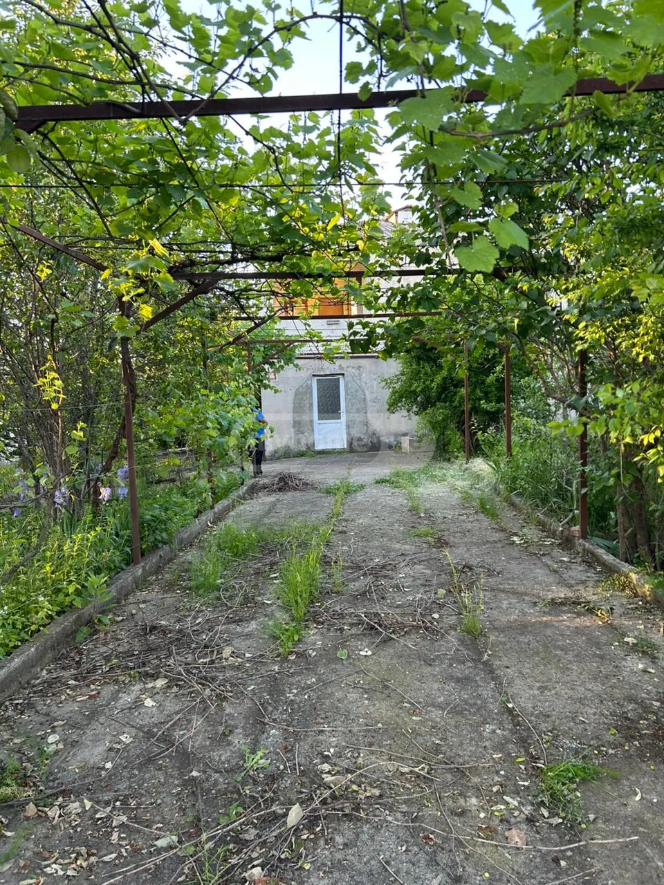 Продажа 6-комната Загородный дом в Gurjaanshi view 4