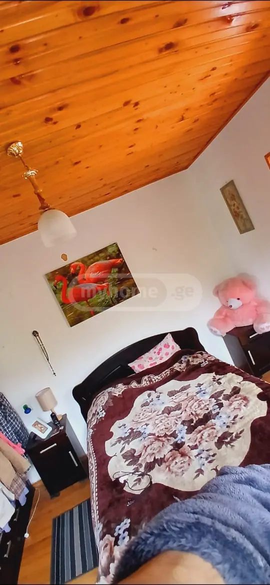 For Rent 6 Room Private House Mtskhetis Munitsipalitetshi view 8