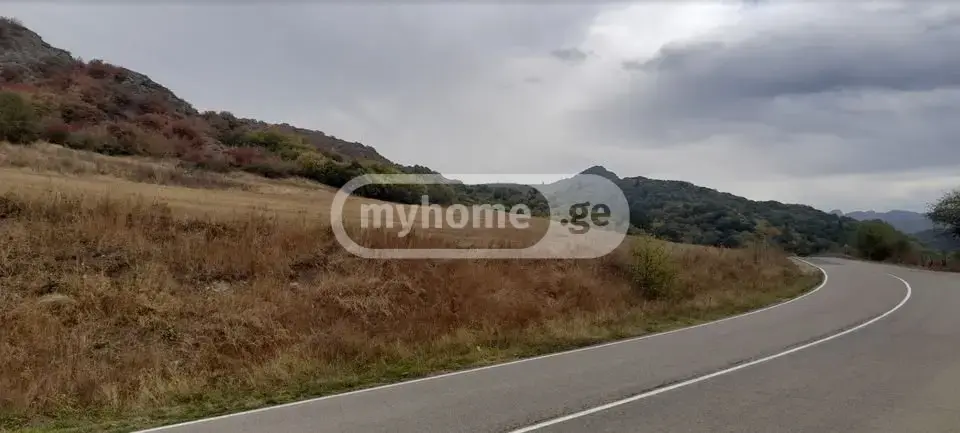 For Sale Sasoplo-Sameurneo Land Plot Tetritsqaroshi view 3