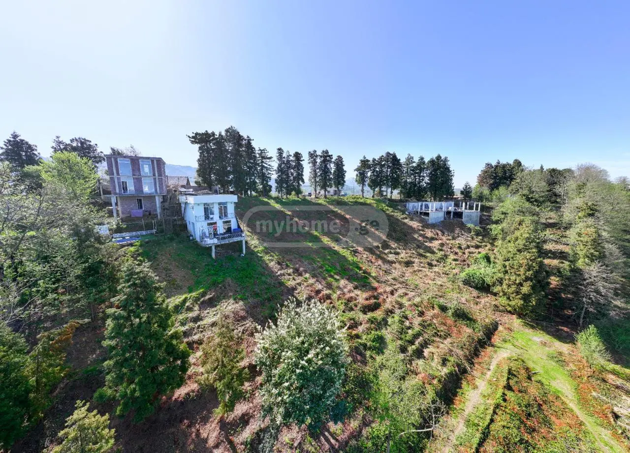 For Sale Ara Sasoplo-Sameurneo Land Plot In Batumi view 3