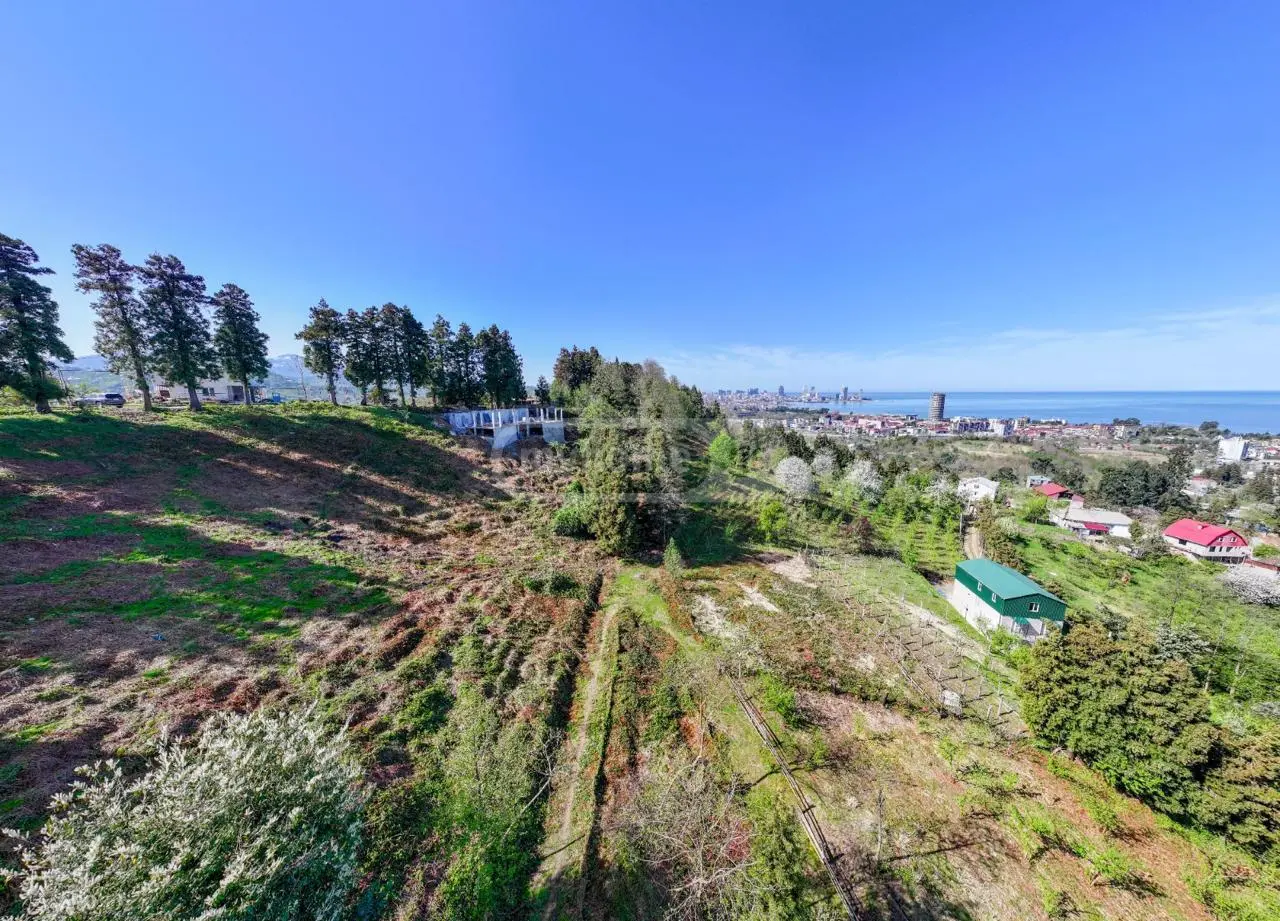 For Sale Ara Sasoplo-Sameurneo Land Plot In Batumi view 5