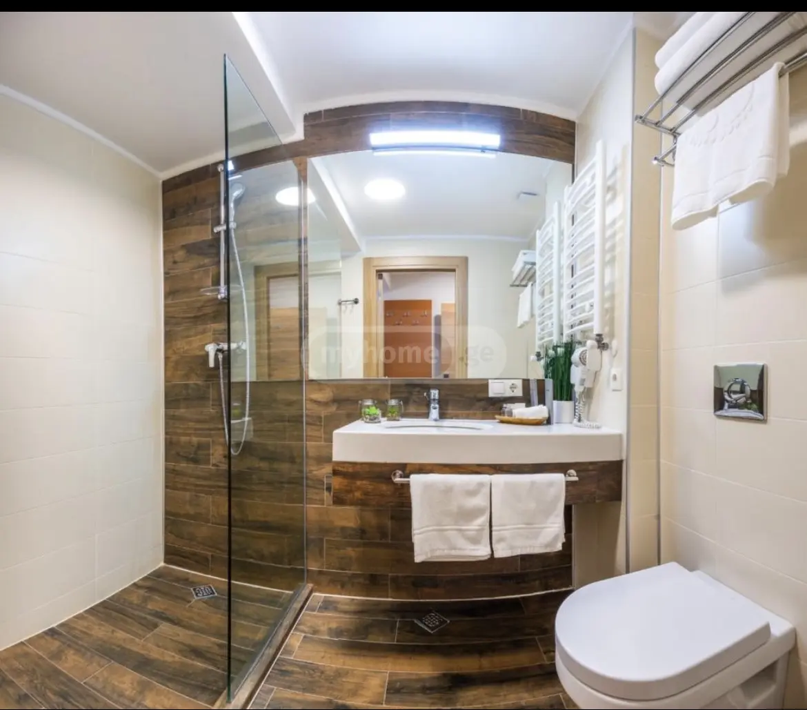 Daily Rent 1 Room Sastumro Bakurianshi, 7 of 12