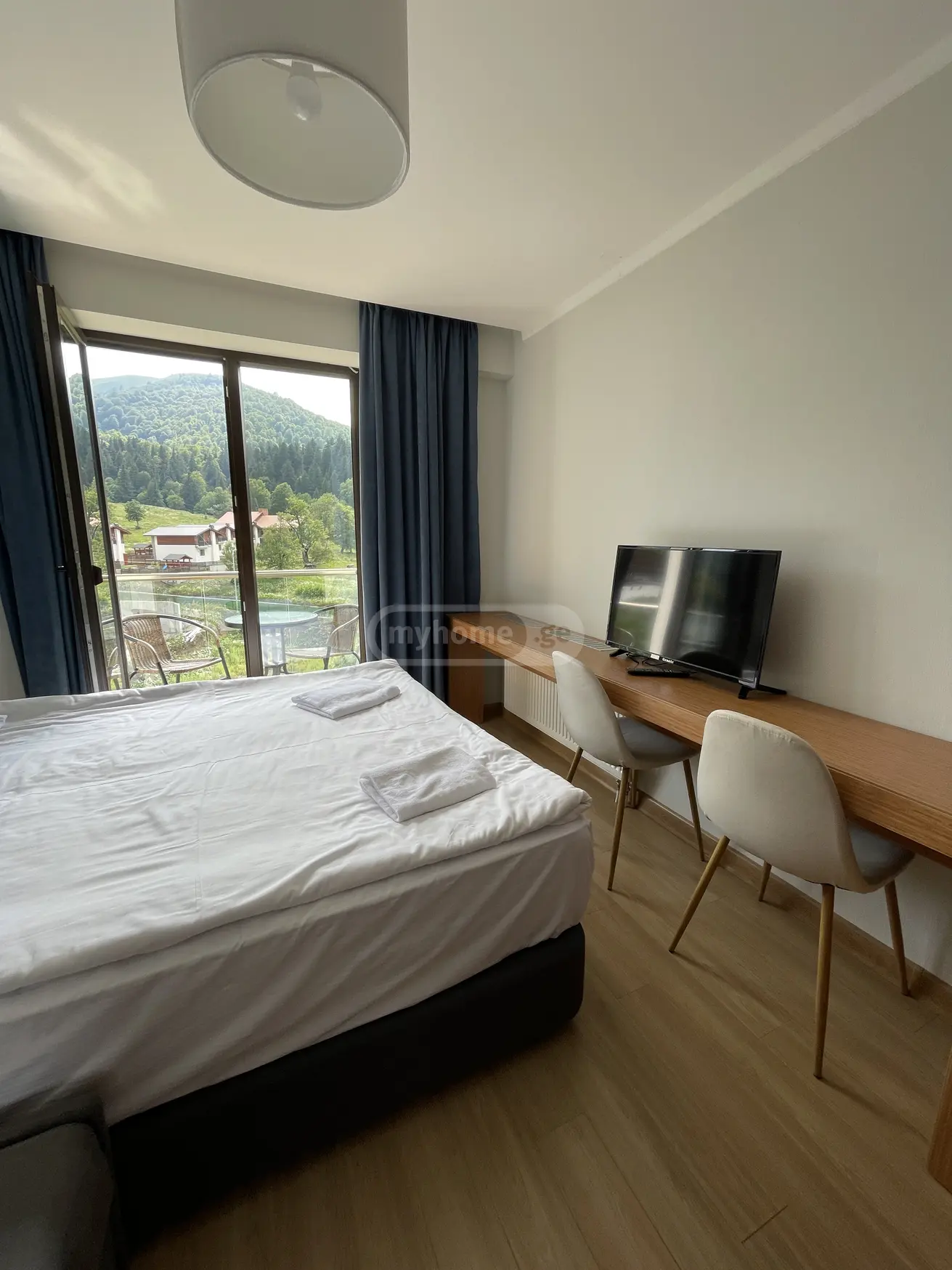 Daily Rent 1 Room Sastumro Bakurianshi, 4 of 12