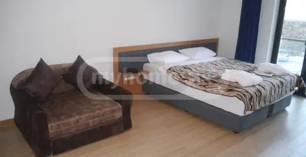Daily Rent 1 Room Apartment Bakurianshi, 2 of 12