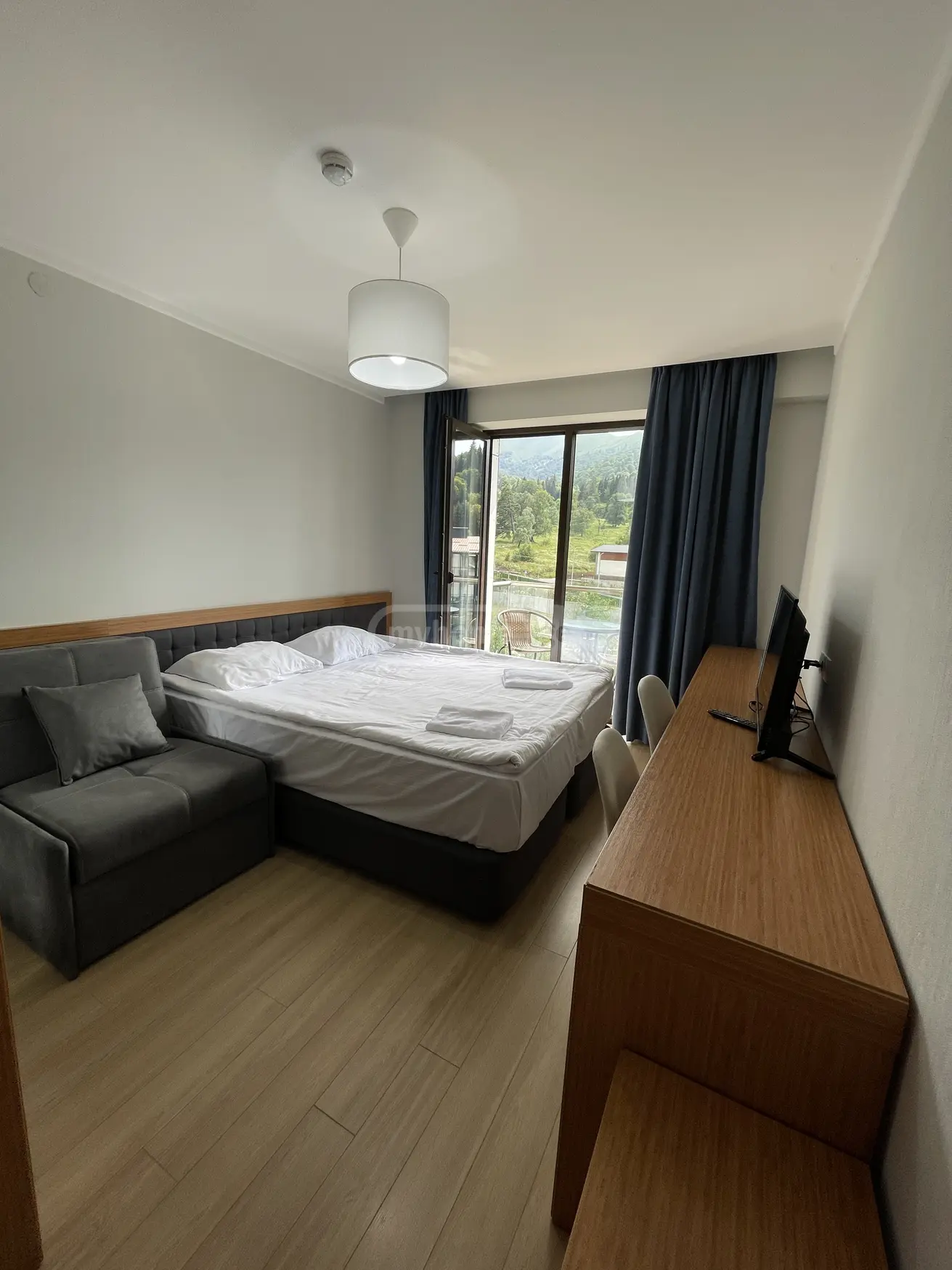 Daily Rent 1 Room Sastumro Bakurianshi, 3 of 12