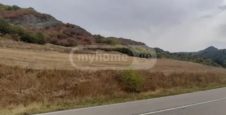 For Sale Sasoplo-Sameurneo Land Plot Tetritsqaroshi view 3