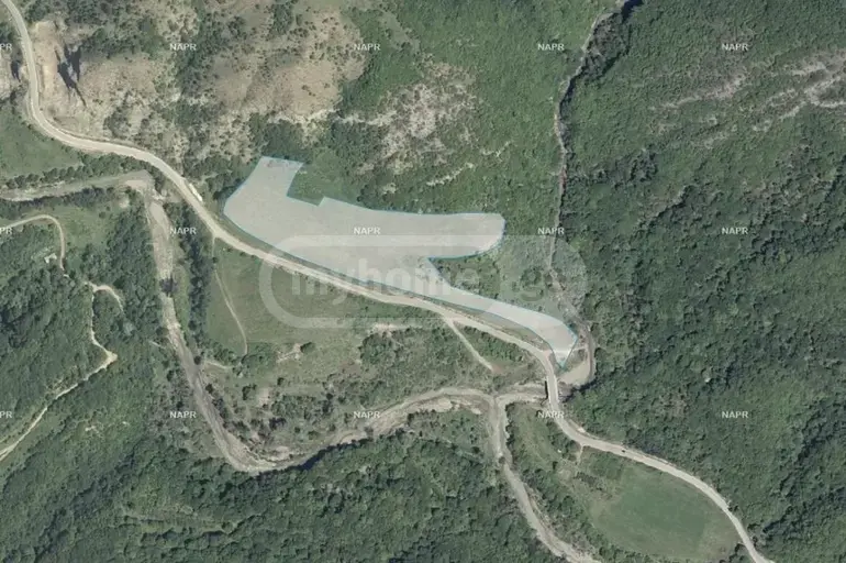 For Sale Sasoplo-Sameurneo Land Plot Tetritsqaroshi view 1
