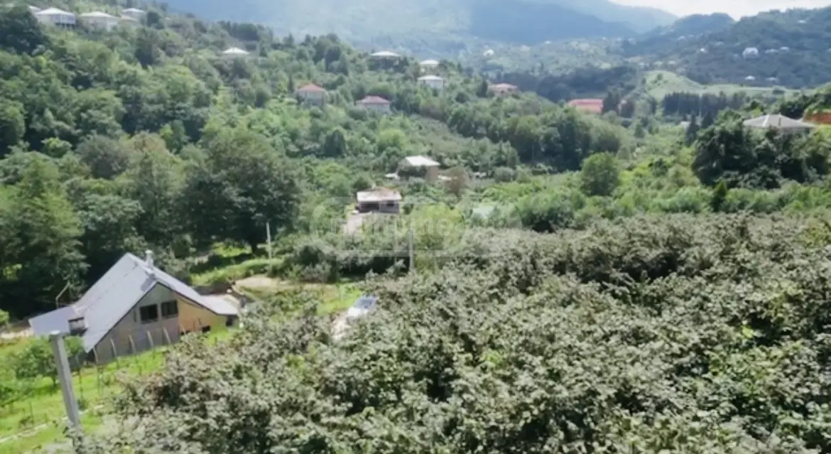 For Sale Sasoplo-Sameurneo Land Plot In Batumi view 3