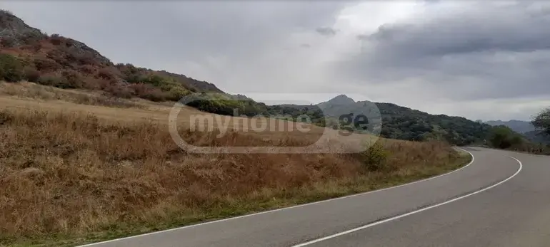 For Sale Sasoplo-Sameurneo Land Plot Tetritsqaroshi view 4