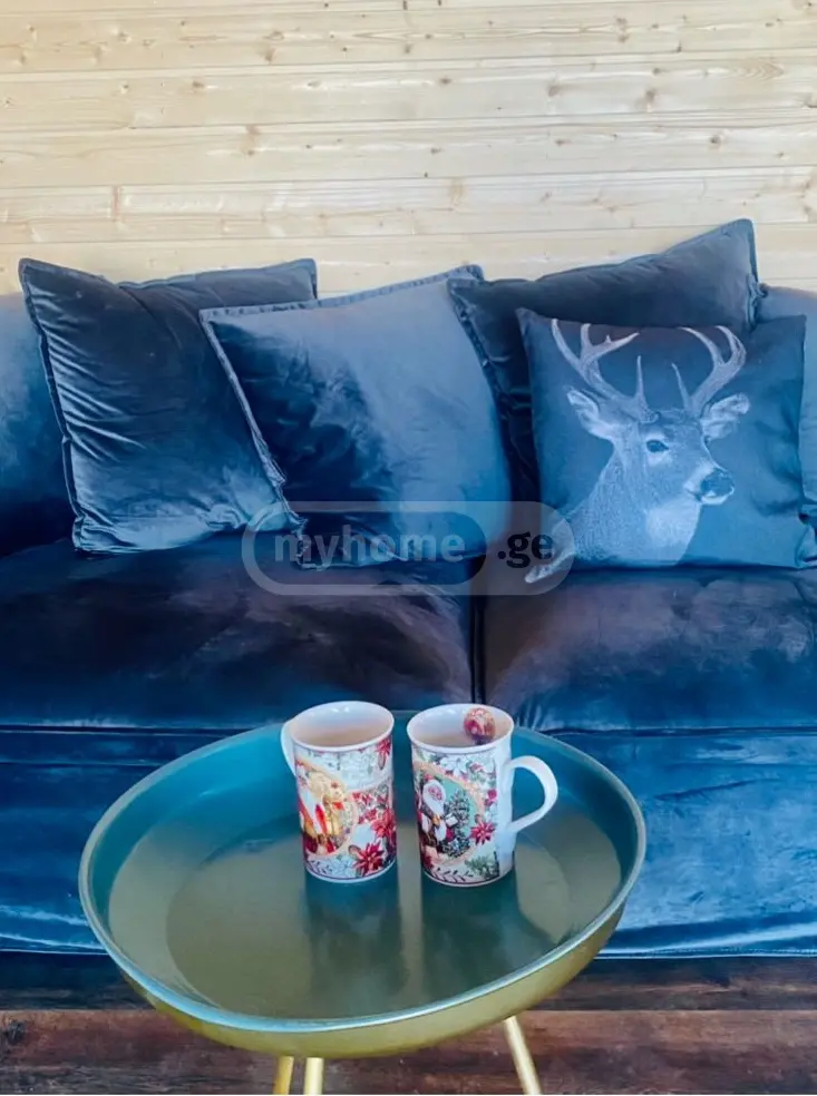 For Rent 3 Room Country House Tsqnetshi, 10 of 12