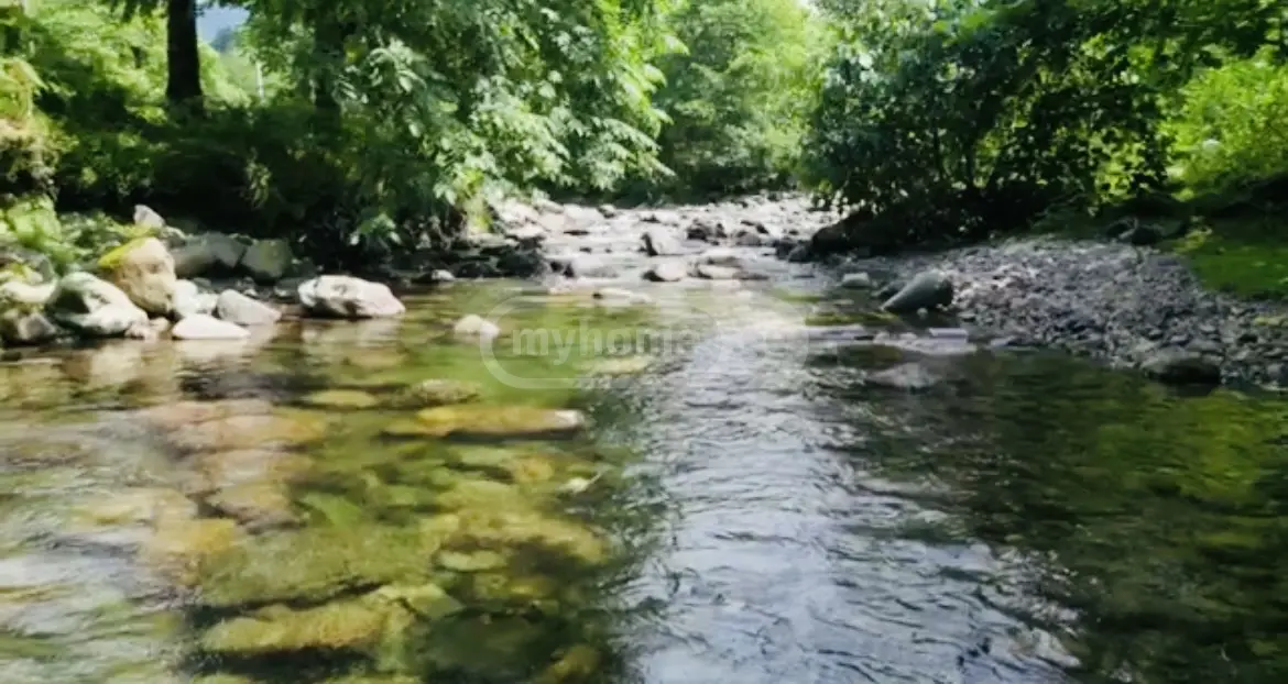 For Sale Sasoplo-Sameurneo Land Plot In Batumi view 4