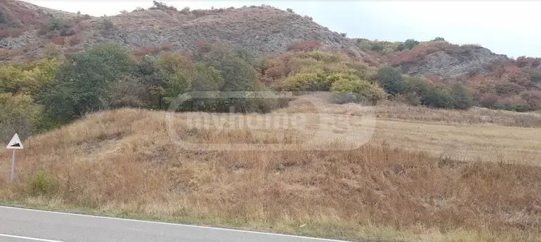 For Sale Sasoplo-Sameurneo Land Plot Tetritsqaroshi view 2