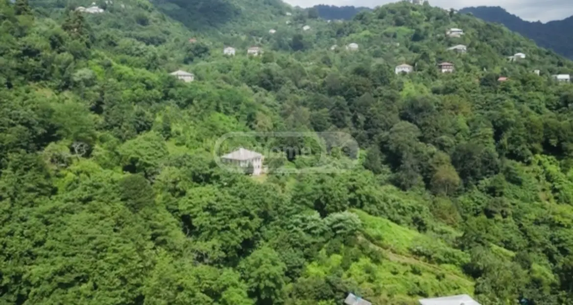 For Sale Sasoplo-Sameurneo Land Plot In Batumi view 1