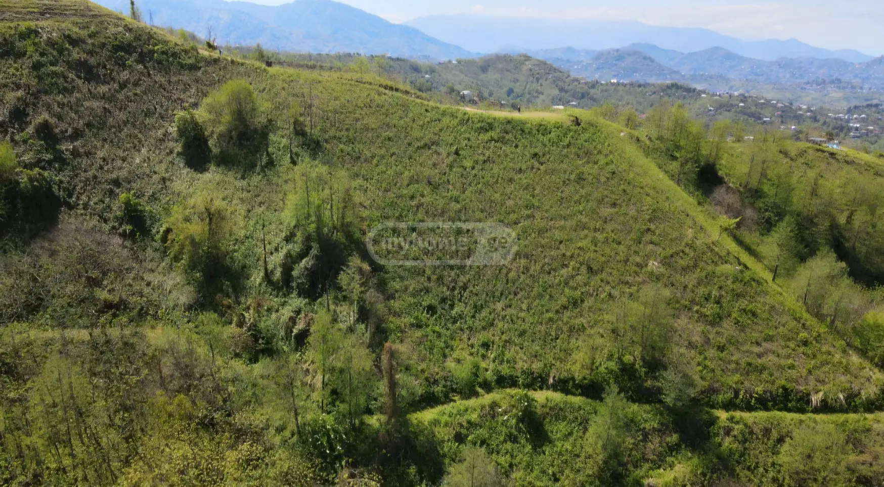 For Sale Sasoplo-Sameurneo Land Plot In Batumi view 12