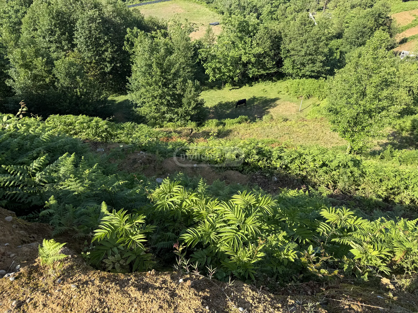 For Sale Ara Sasoplo-Sameurneo Land Plot Khelvachauris Munitsipalitetshi view 7