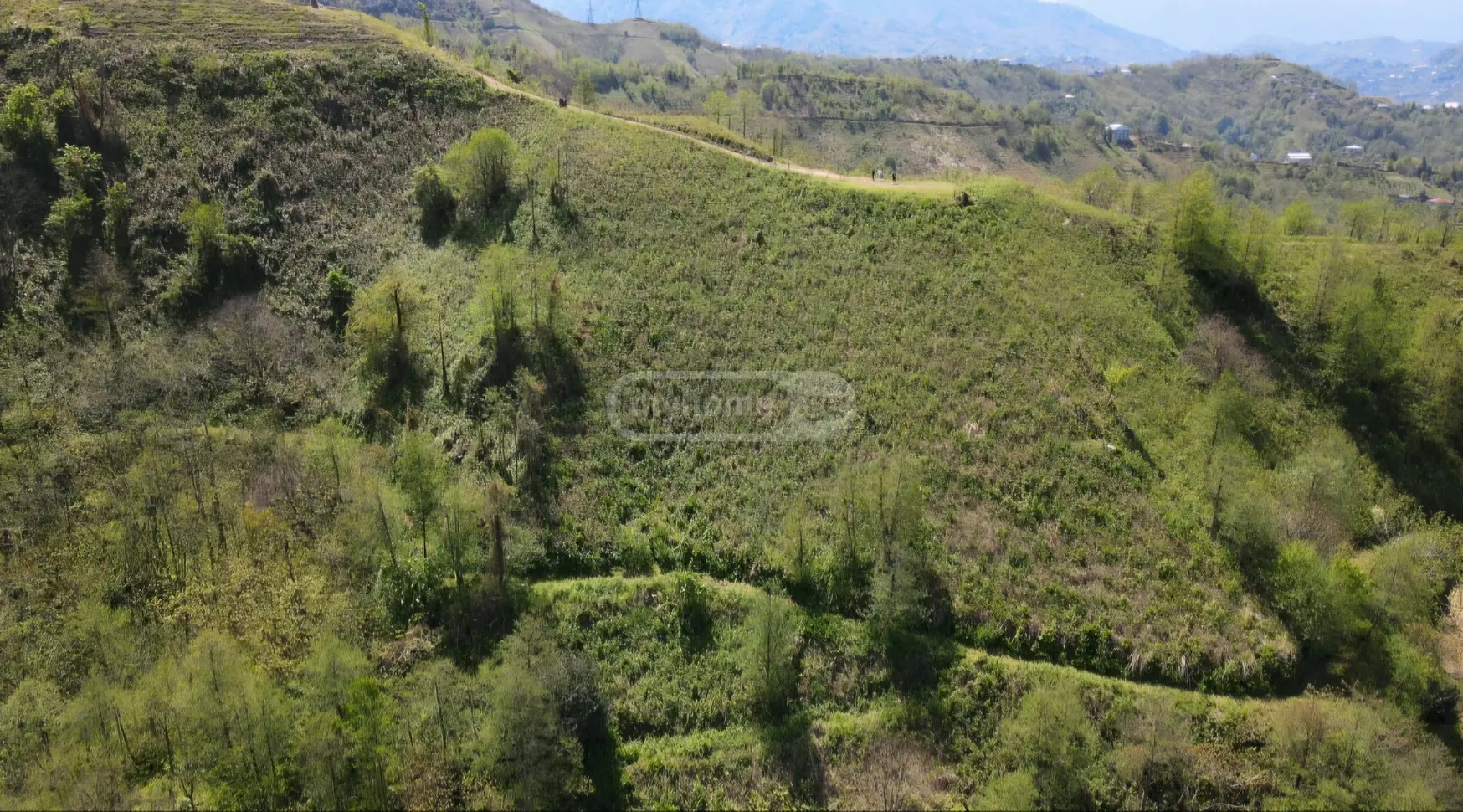 For Sale Sasoplo-Sameurneo Land Plot In Batumi view 10