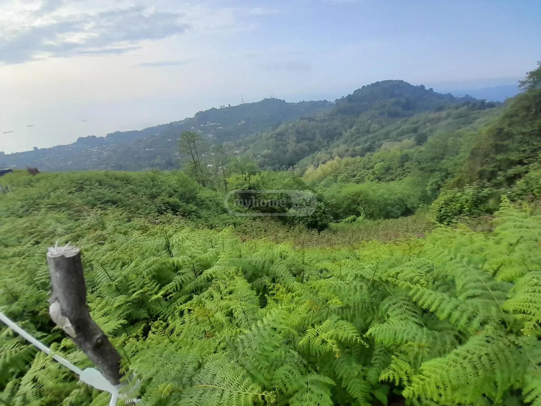For Sale Sasoplo-Sameurneo Land Plot In Batumi view 14
