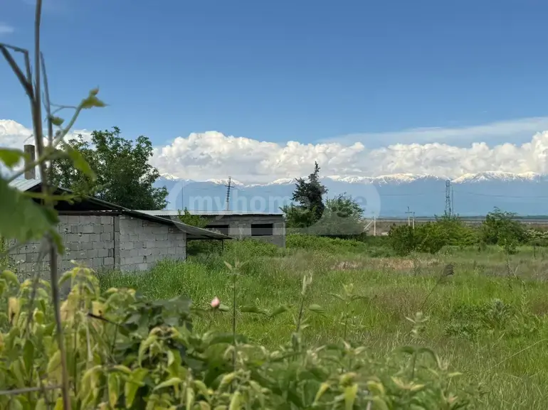 Продажа Земля / участок в Gurjaanshi view 15