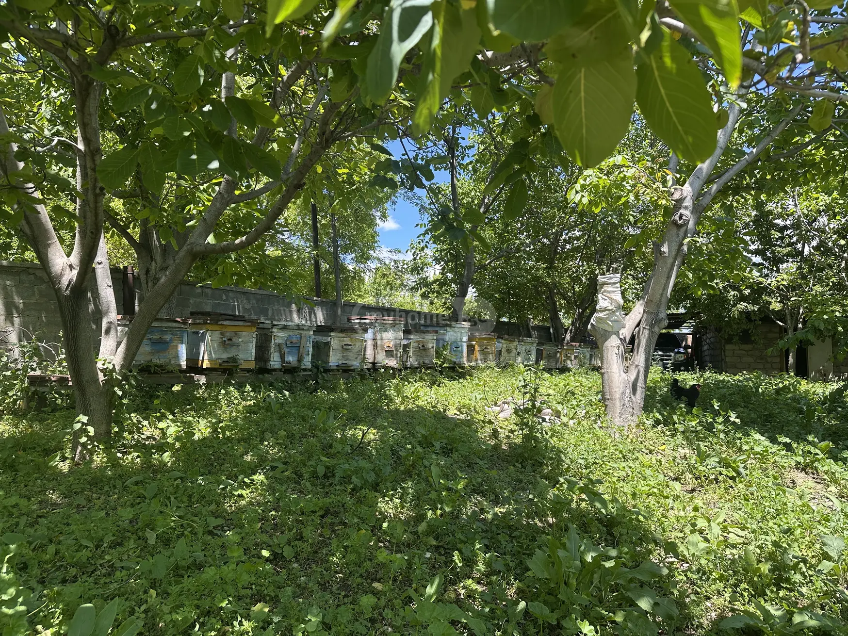 For Rent 3 Room Country House Sagarejos Munitsipalitetshi view 13