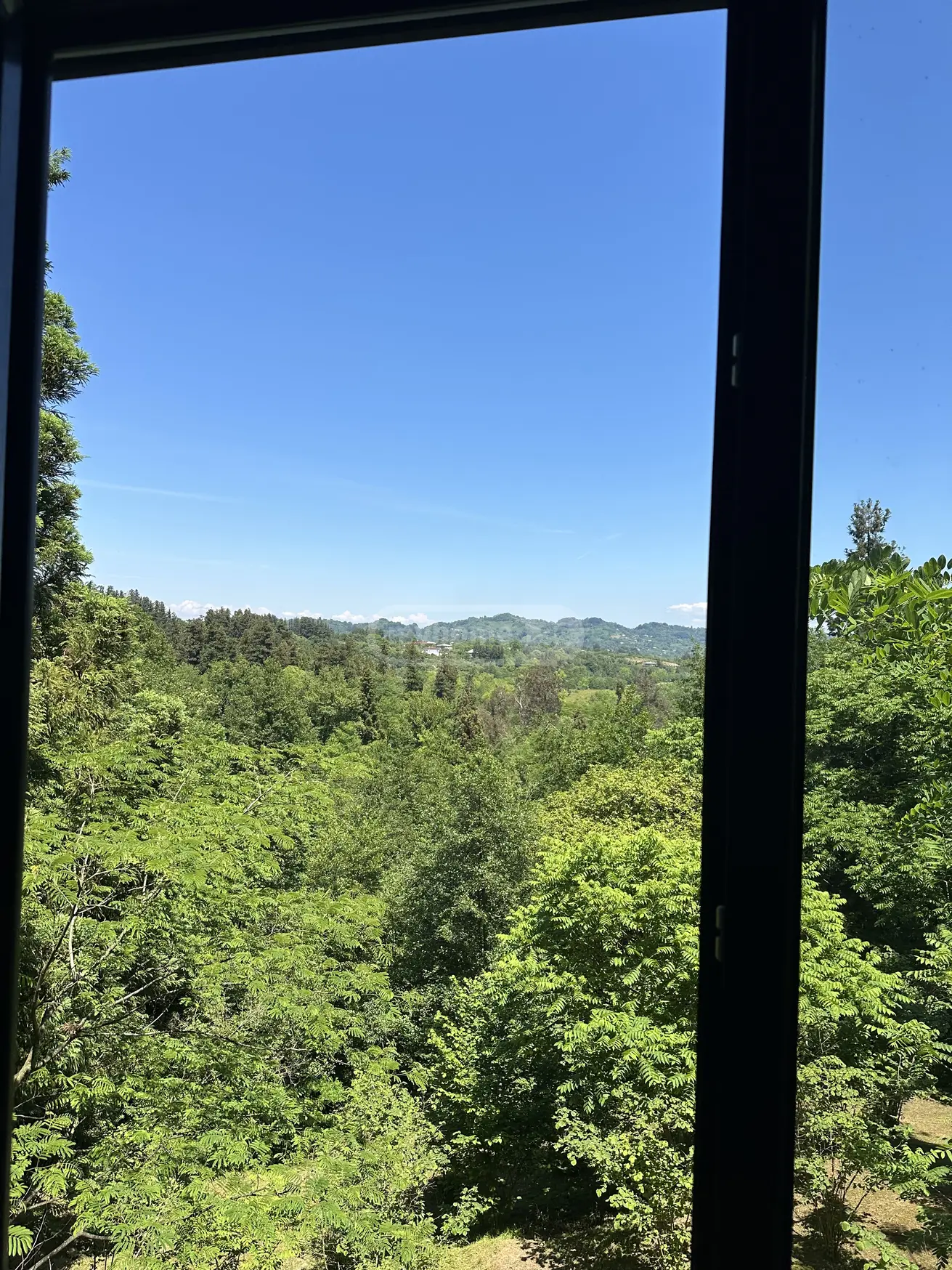 For Sale 3 Room Country House Ozurgetis Munitsipalitetshi view 7