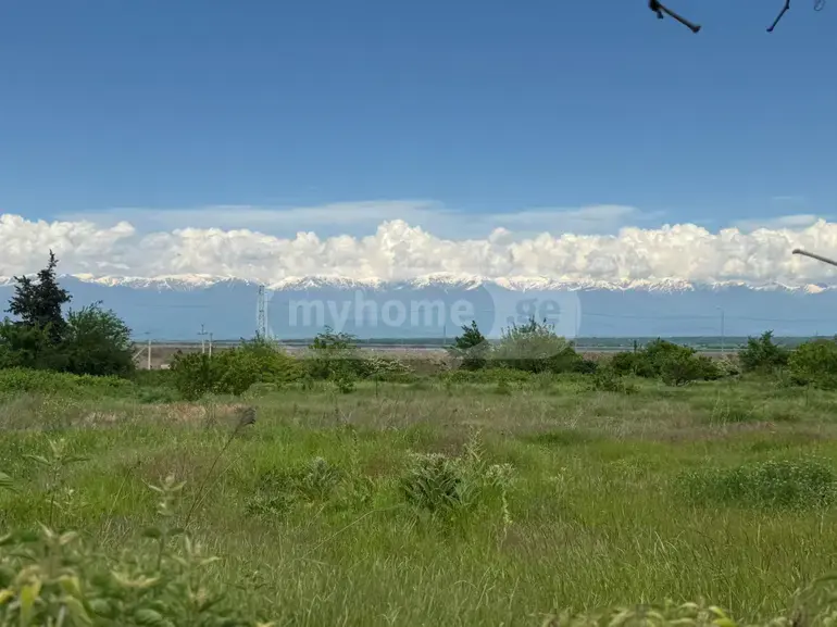 Продажа Земля / участок в Gurjaanshi view 10