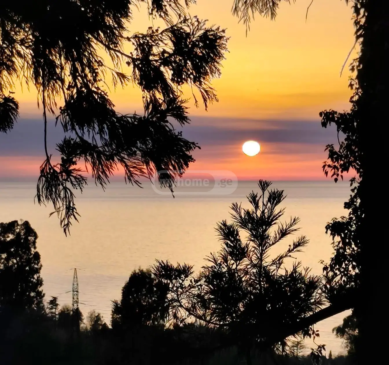 For Sale Sasoplo-Sameurneo Land Plot In Batumi, 6 of 7