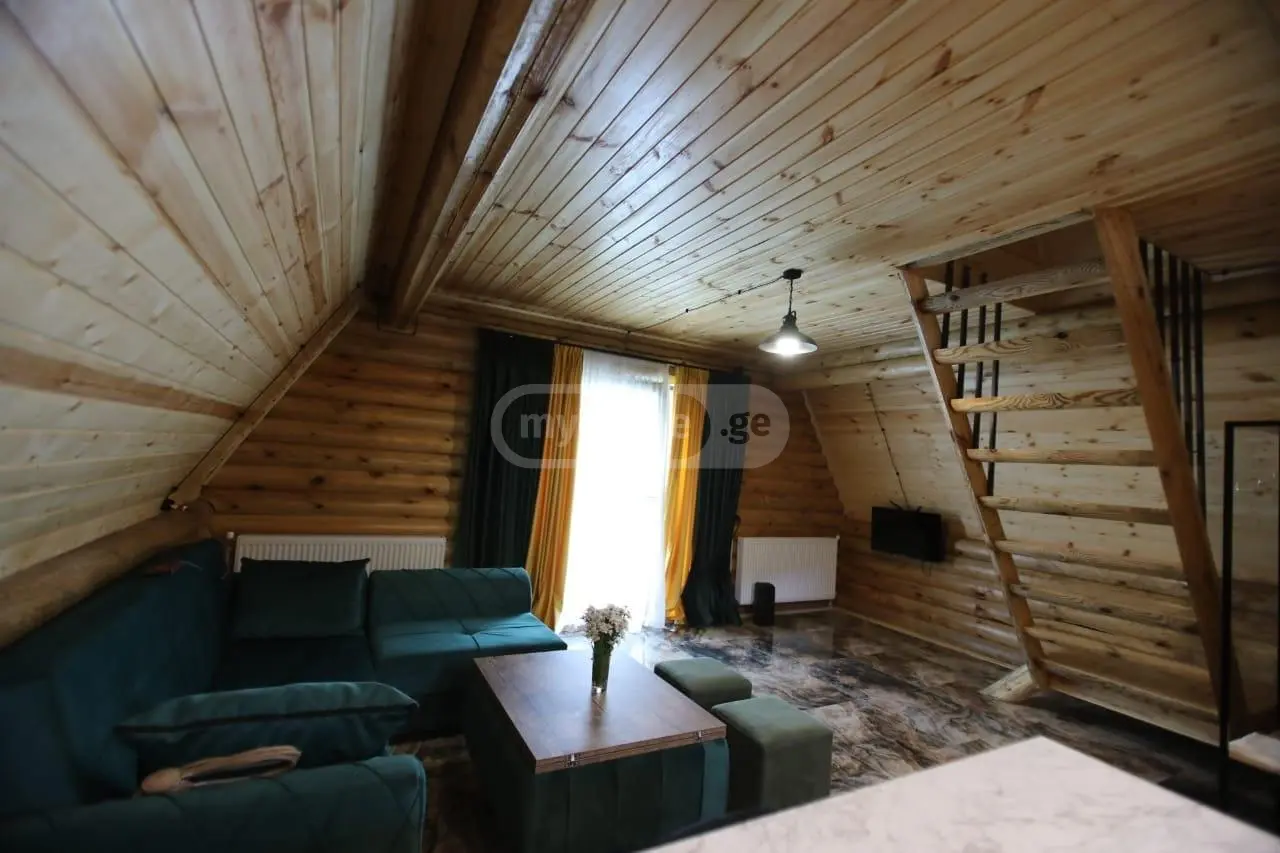 Daily Rent 3 Room Country House Borjomshi view 10