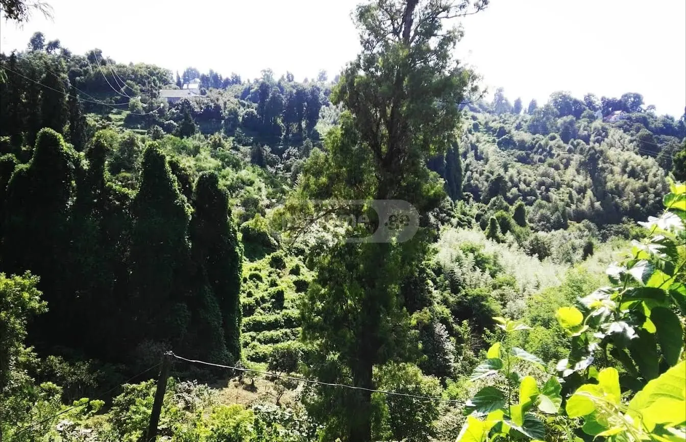 For Sale Sasoplo-Sameurneo Land Plot In Batumi, 5 of 7
