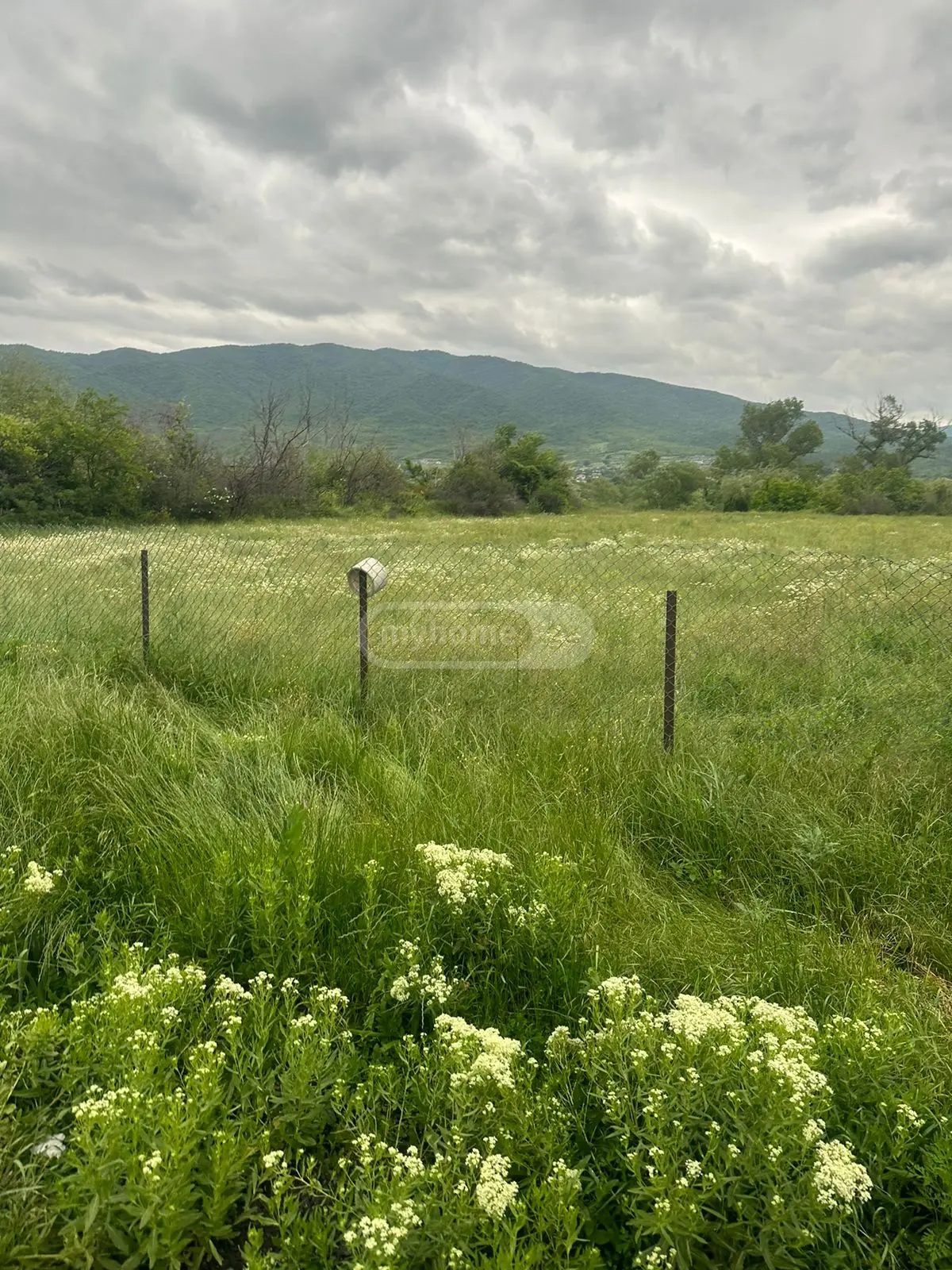 For Sale Sasoplo-Sameurneo Land Plot Mtskhetis Munitsipalitetshi view 1