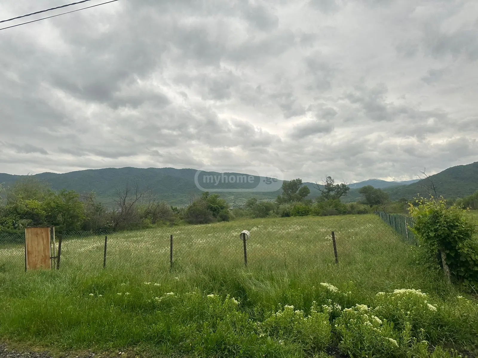 For Sale Sasoplo-Sameurneo Land Plot Mtskhetis Munitsipalitetshi view 2