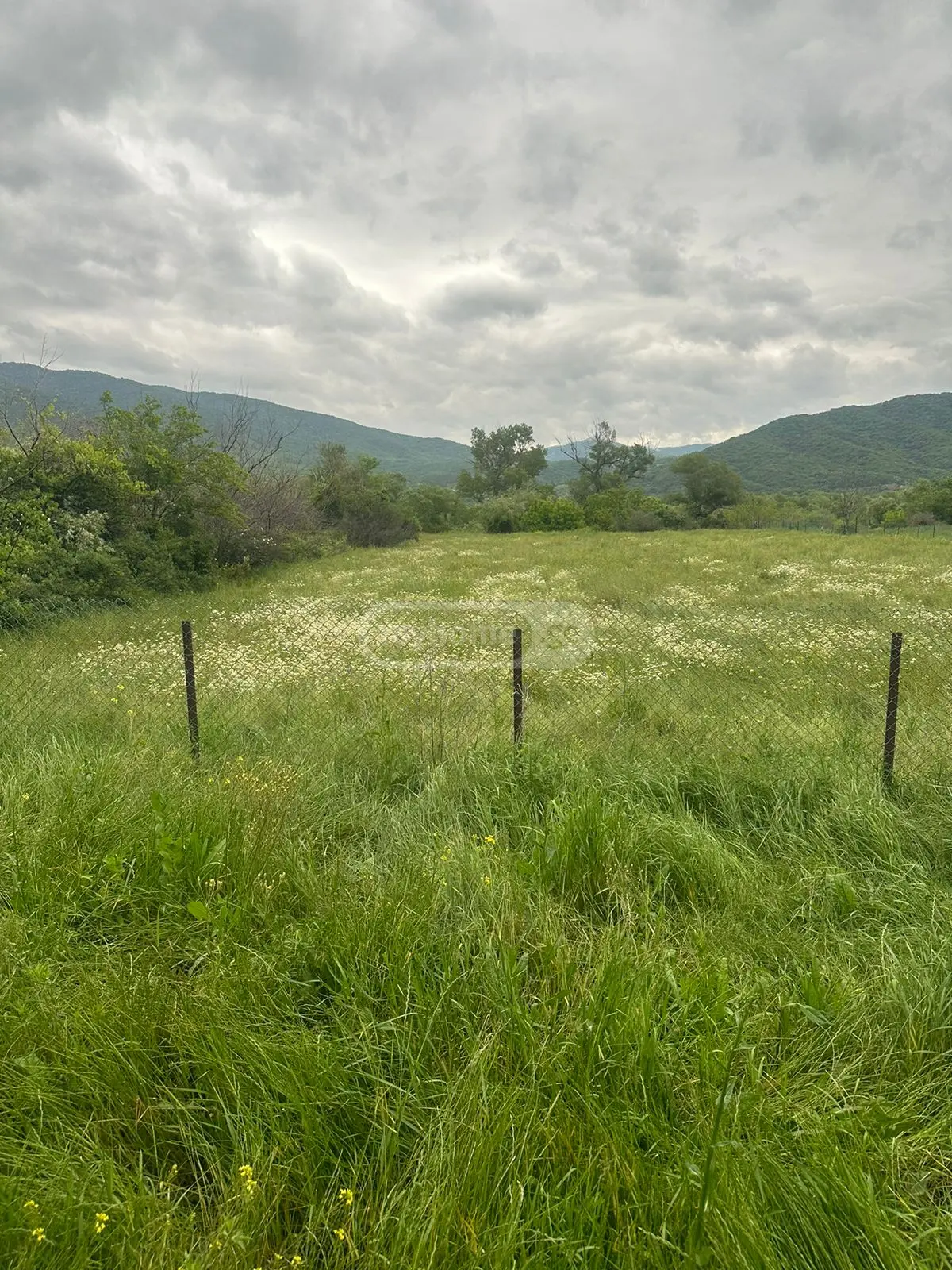 For Sale Sasoplo-Sameurneo Land Plot Mtskhetis Munitsipalitetshi view 4