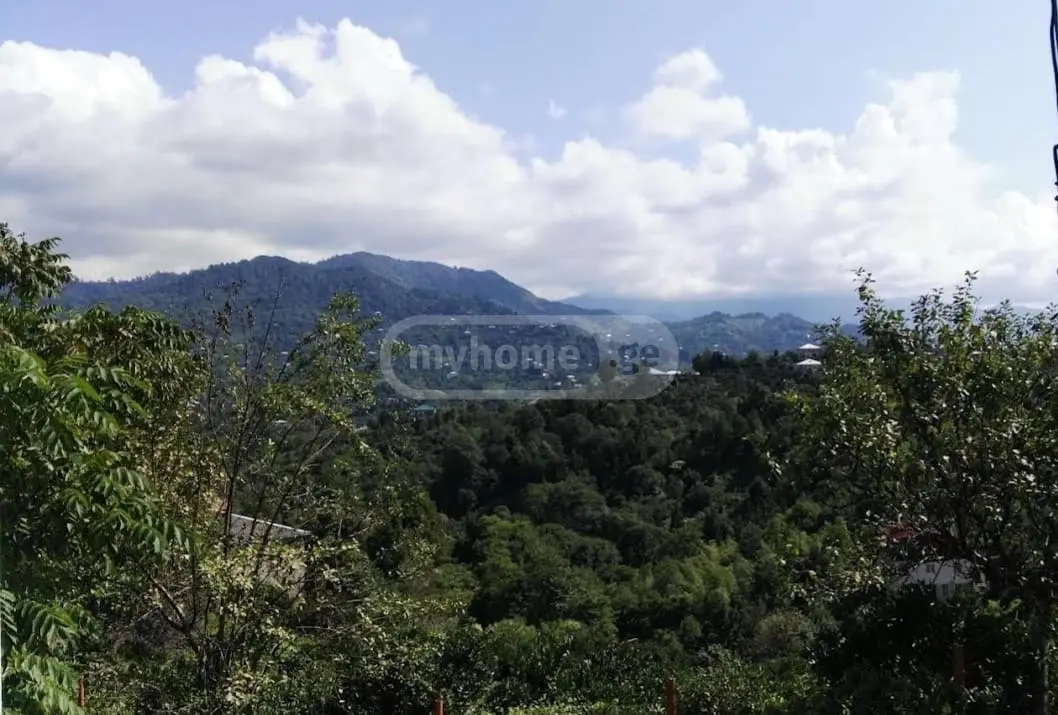 For Sale Sasoplo-Sameurneo Land Plot In Batumi, 1 of 7