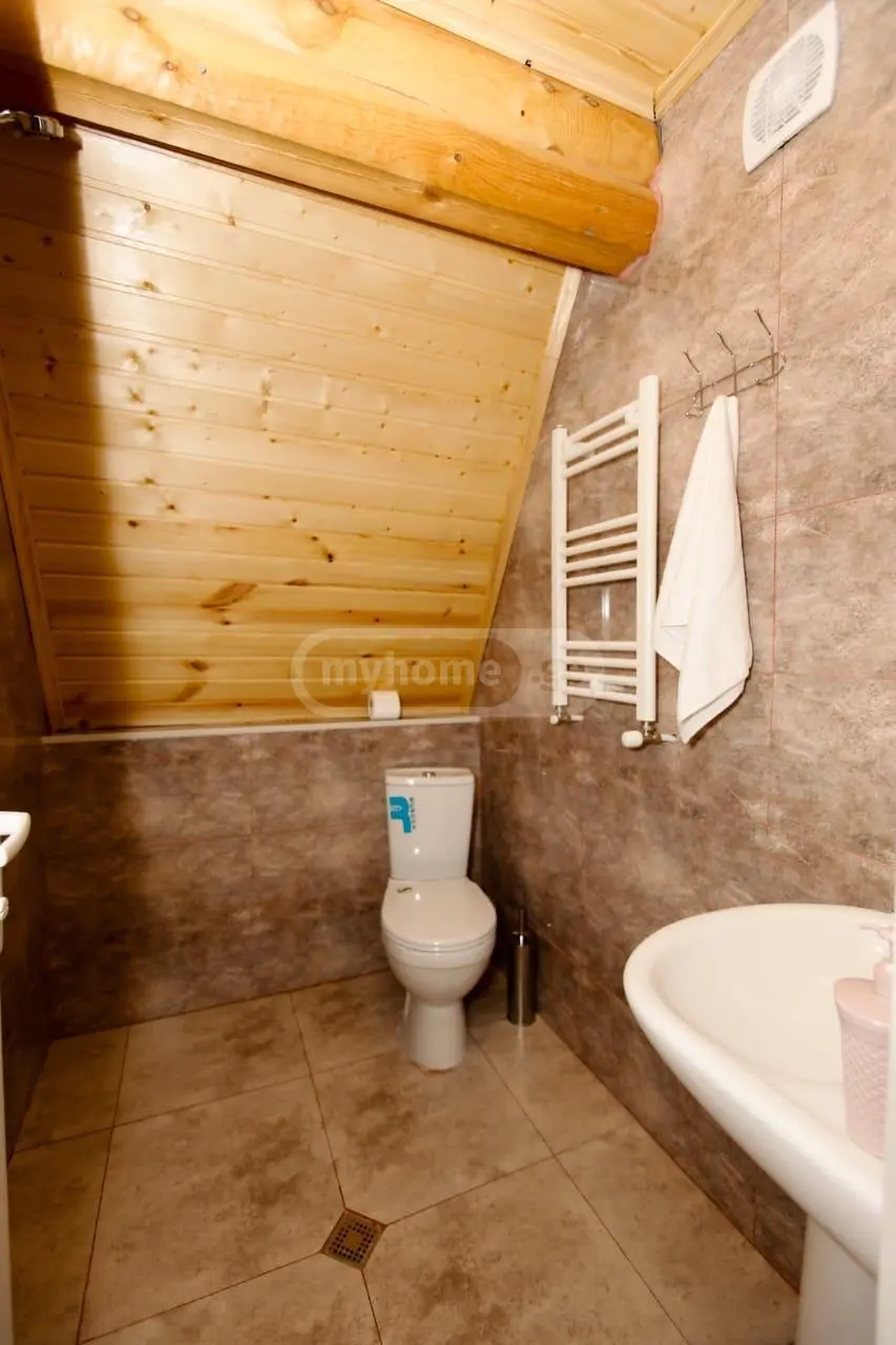 Daily Rent 3 Room Country House Borjomshi view 11