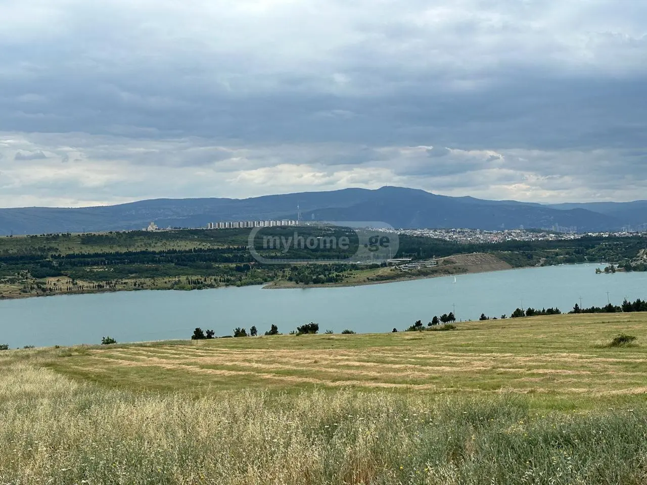 For Sale Sasoplo-Sameurneo Land Plot Tbilisis Zghvaze, 3 of 6
