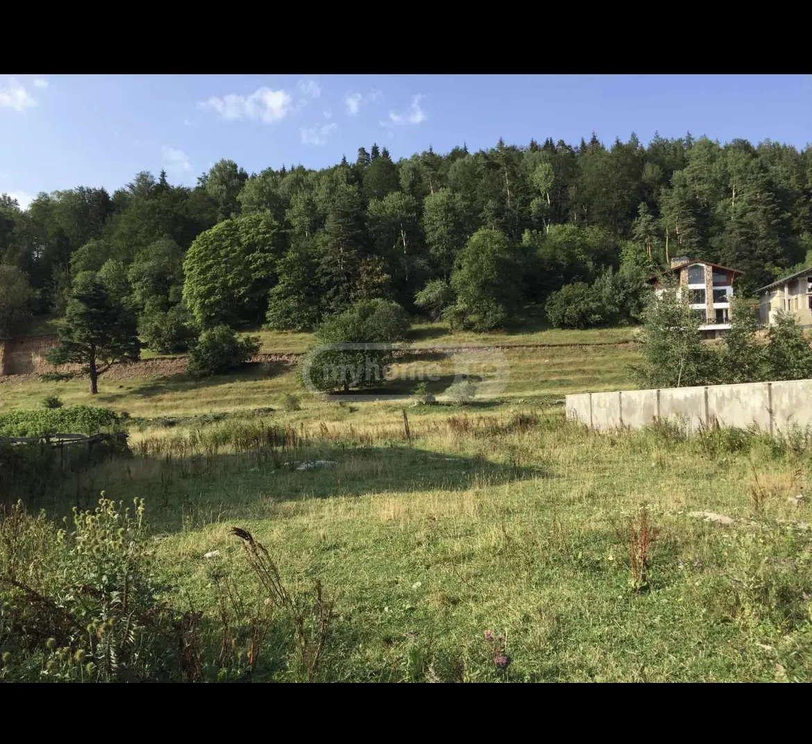 For Sale Sasoplo-Sameurneo Land Plot Bakurianshi, 2 of 2