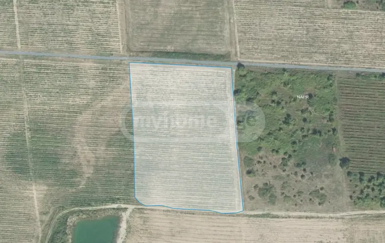 Продажа Земля / участок в Qvarelshi view 6