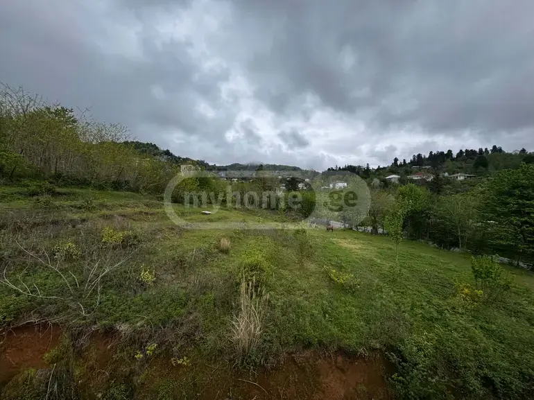 For Sale Sasoplo-Sameurneo Land Plot In Batumi, 3 of 4