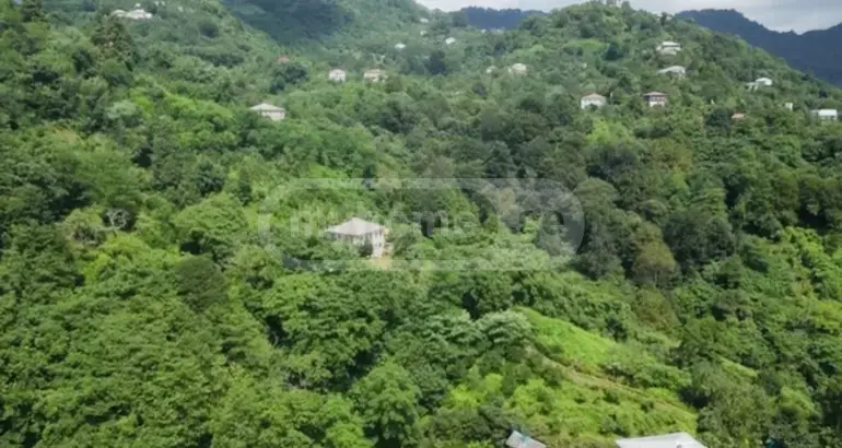 For Sale Sasoplo-Sameurneo Land Plot In Batumi, 6 of 7
