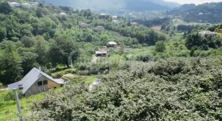 For Sale Sasoplo-Sameurneo Land Plot In Batumi, 4 of 7
