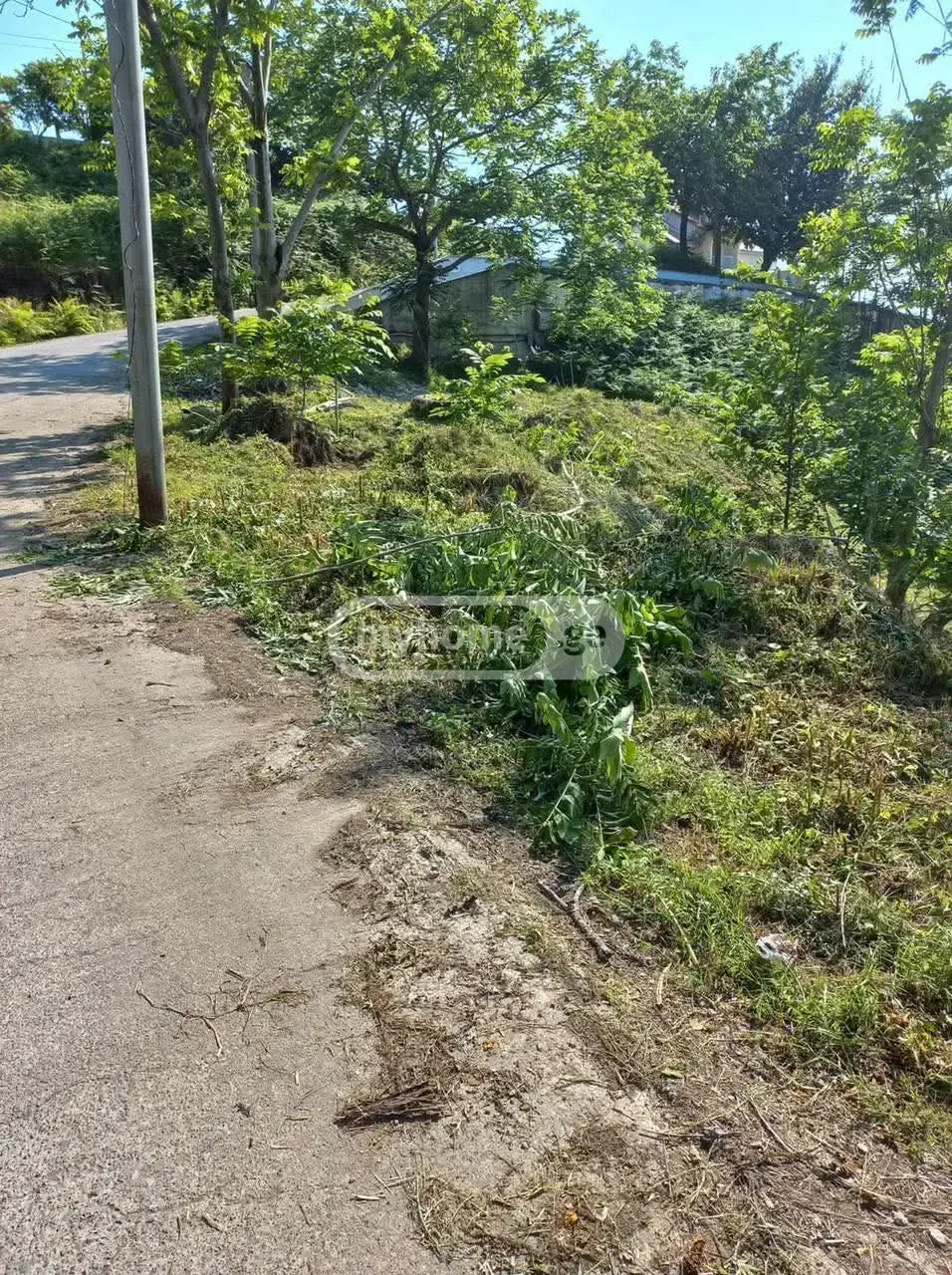 For Sale Sasoplo-Sameurneo Land Plot Khelvachauris Munitsipalitetshi view 3