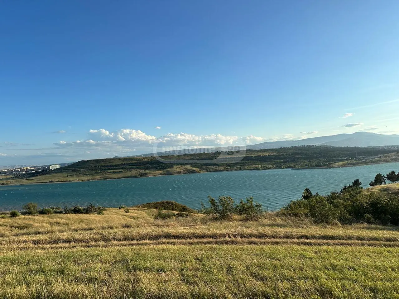 For Sale Sasoplo-Sameurneo Land Plot Tbilisis Zghvaze, 2 of 6