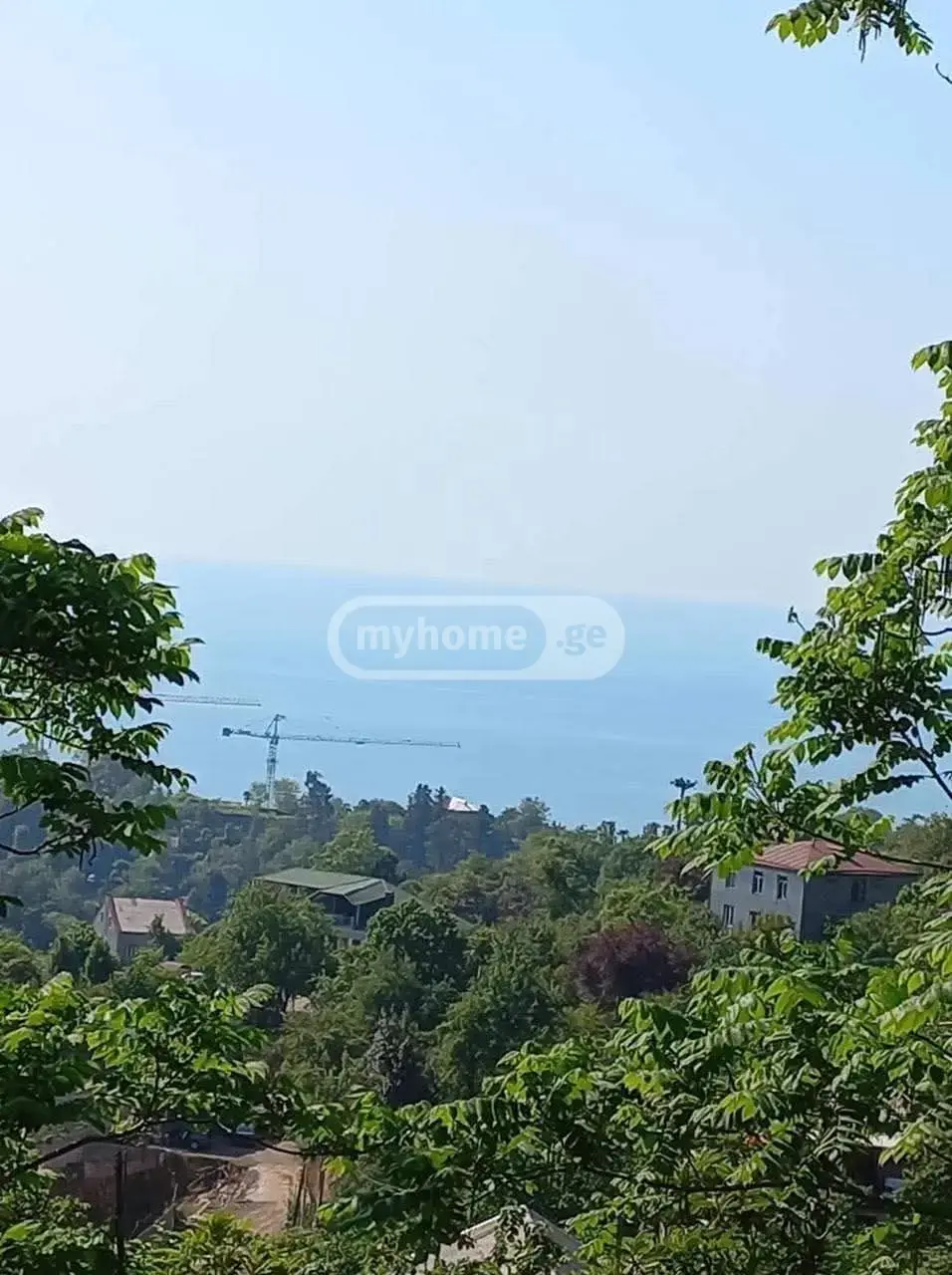 For Sale Sasoplo-Sameurneo Land Plot Khelvachauris Munitsipalitetshi view 1