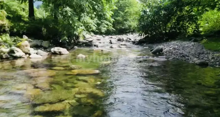 For Sale Sasoplo-Sameurneo Land Plot In Batumi, 5 of 7