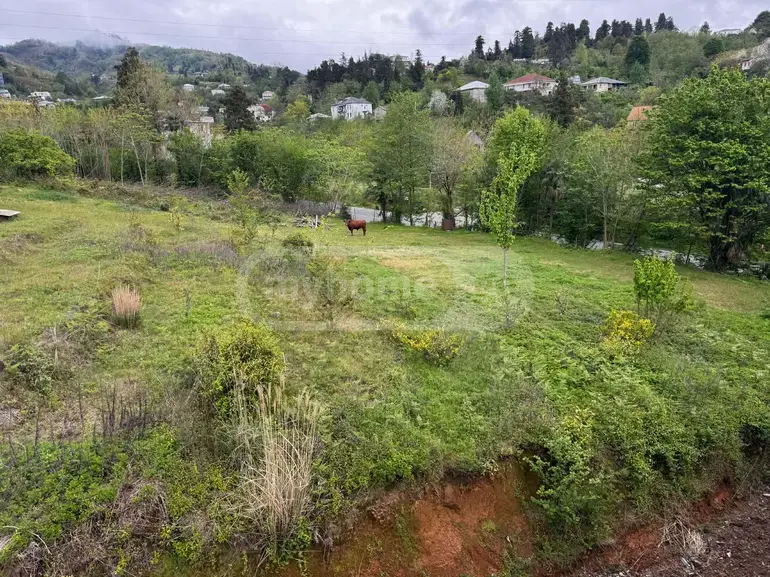 For Sale Sasoplo-Sameurneo Land Plot In Batumi, 4 of 4