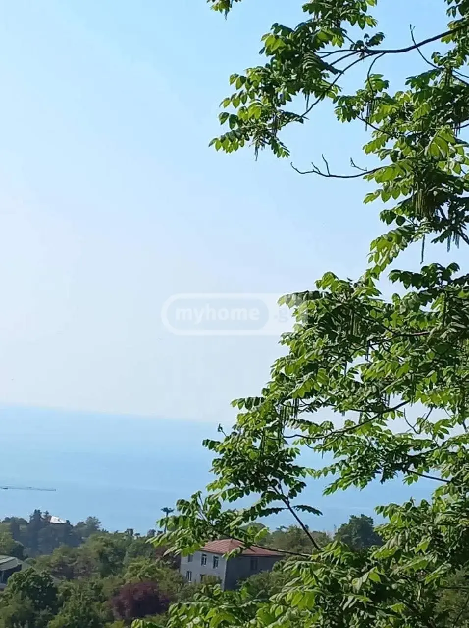 For Sale Sasoplo-Sameurneo Land Plot Khelvachauris Munitsipalitetshi view 6