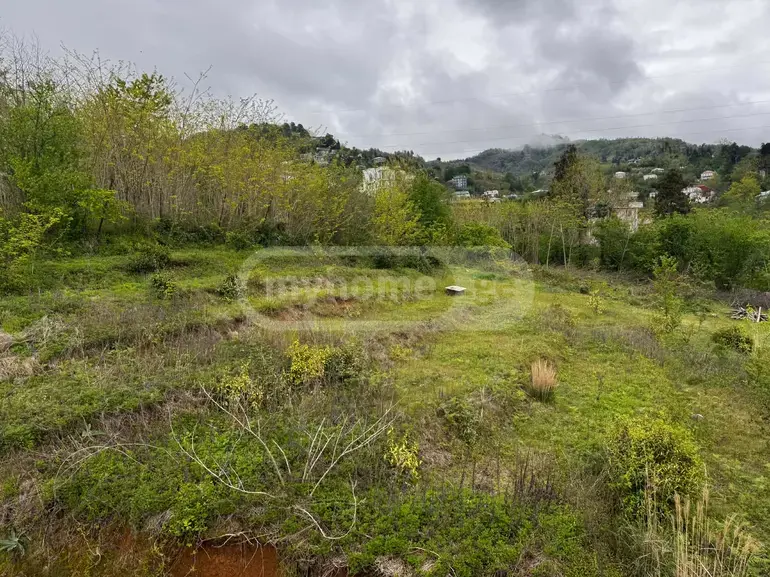 For Sale Sasoplo-Sameurneo Land Plot In Batumi, 2 of 4