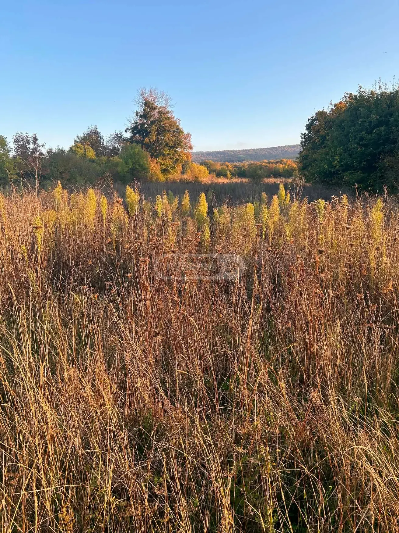 Продажа Земля / участок в Tianetis Munitsipalitetshi view 3